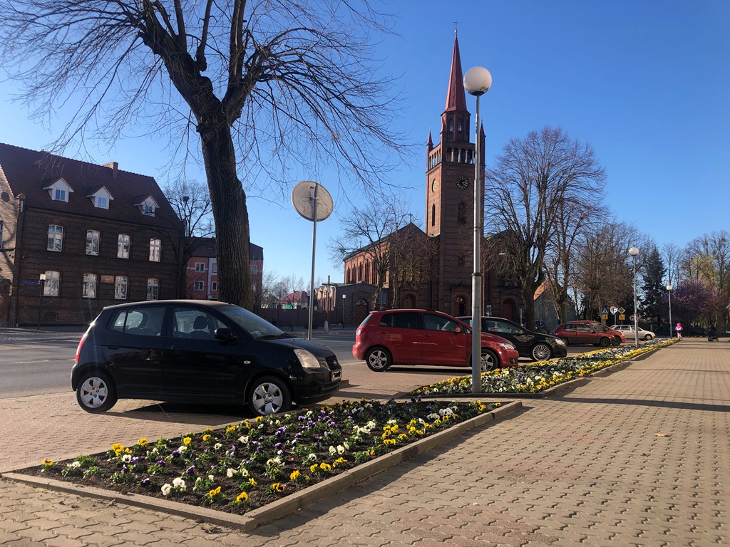 Bratki zawitały na klombach wzdłuż pawilonów
