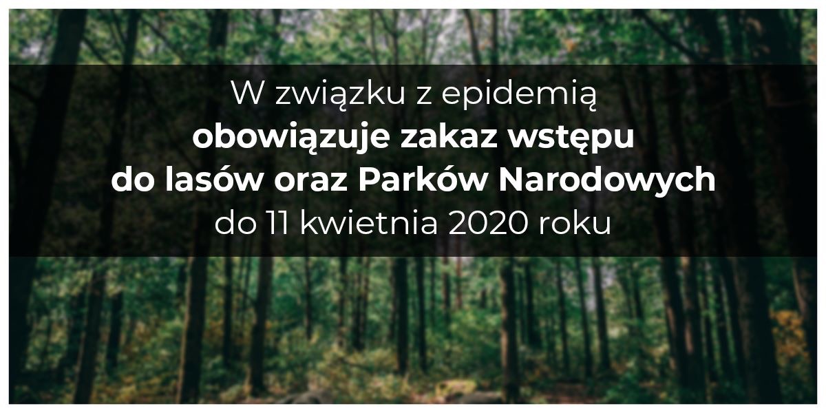 Powiększ zdjęcie lasu z napisem w związku z epidemią obowiązuje zakaz wstępu...