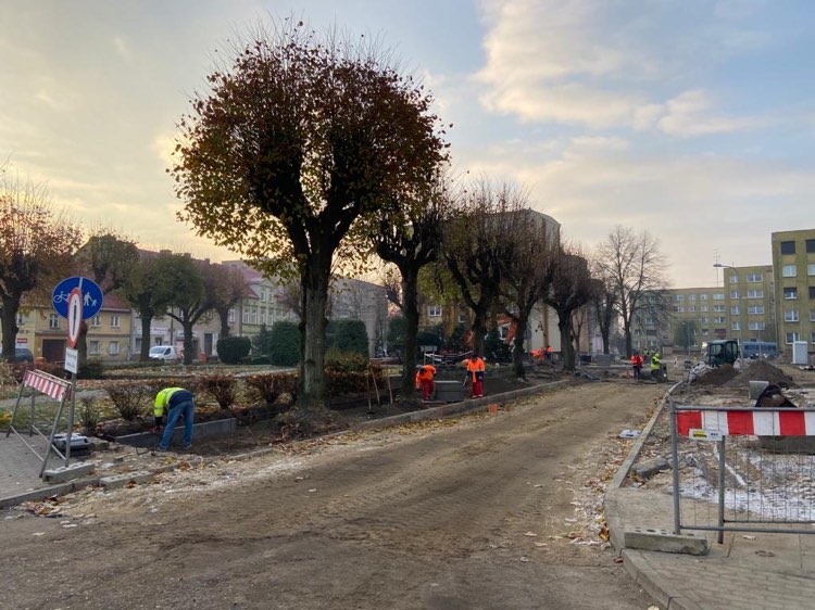 Powiększ zdjęcie. Prace na ulicy Matejki trwają. Drzewo, roboty, znaki