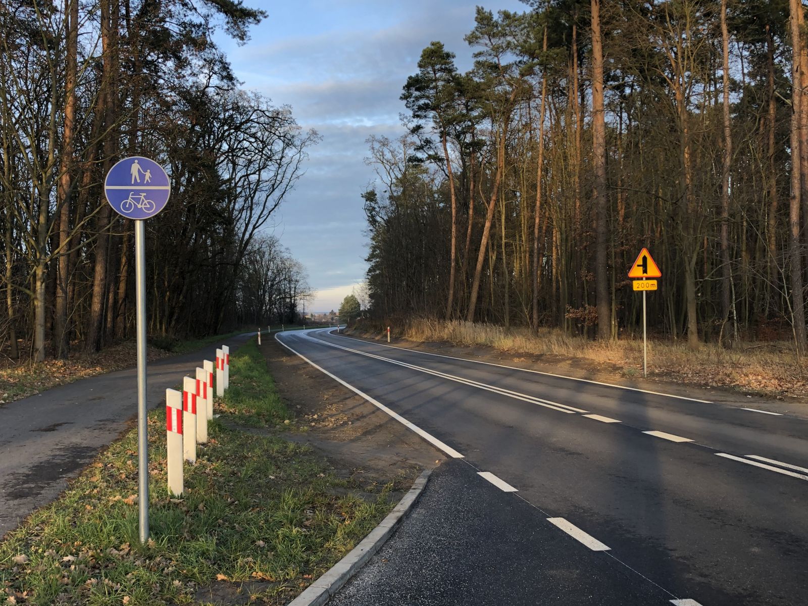 Droga wojewódzka nr 127. Jezdnia, znaki drzewa, niebo