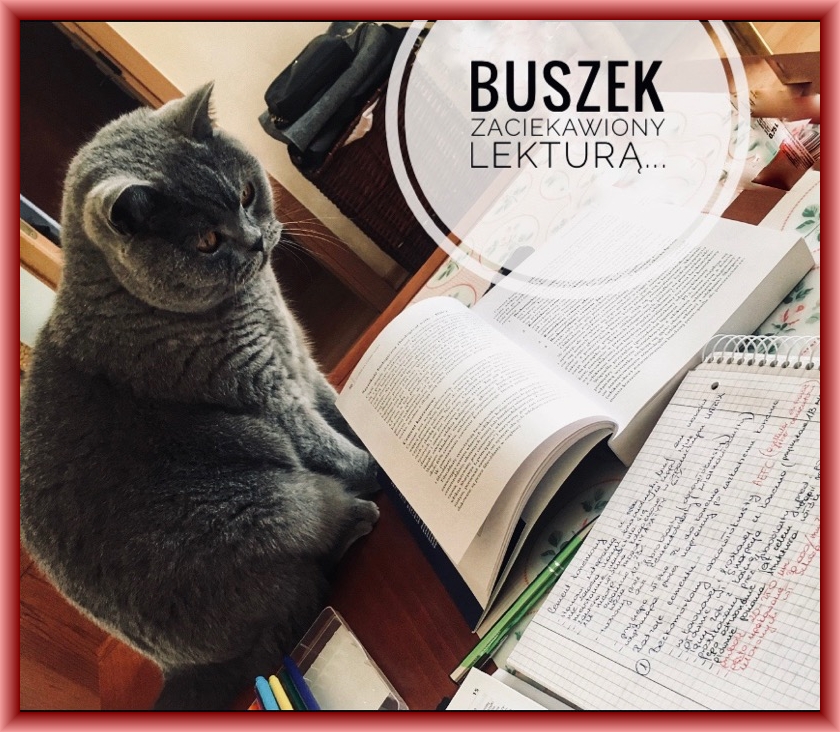 Powiększ zdjęcie. Kotek nad książkami