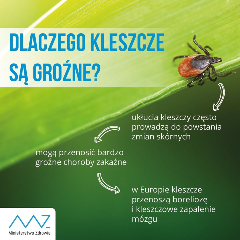 Powiększ baner dlaczego kleszcze są groźne. Pełna treść w informacji