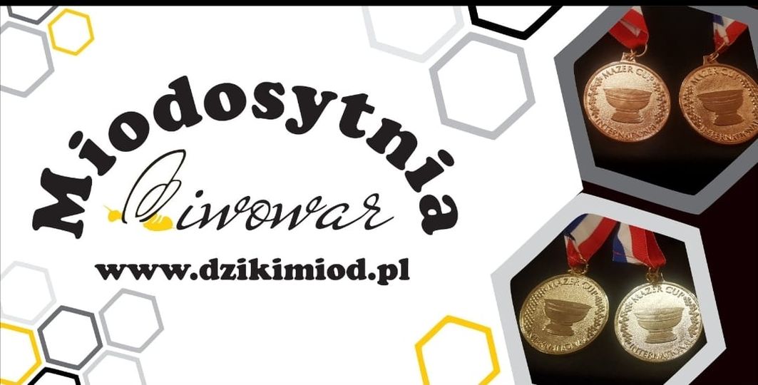 Powiększ nagłówek strony miodosytania piwowar www.dzikimiod.pl, plastry miodu i medale
