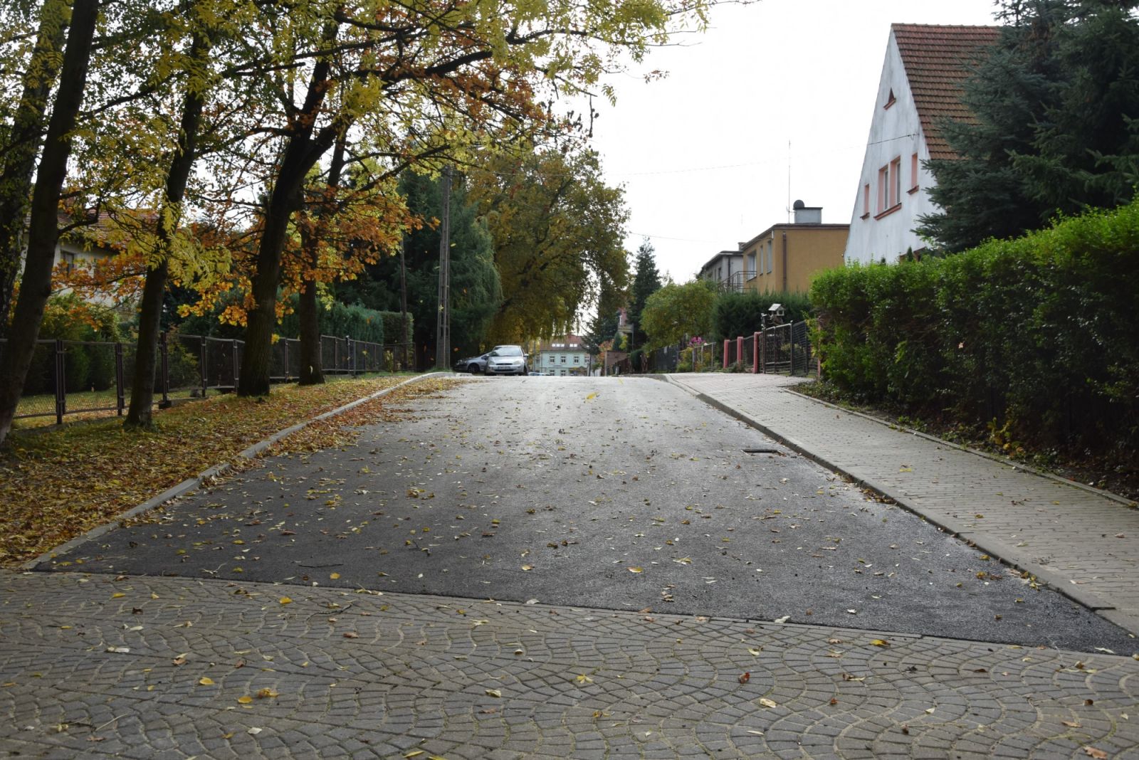 Powiększ zdjęcie. Ulica Wodna, opadłe liscie, drzewa jesienne