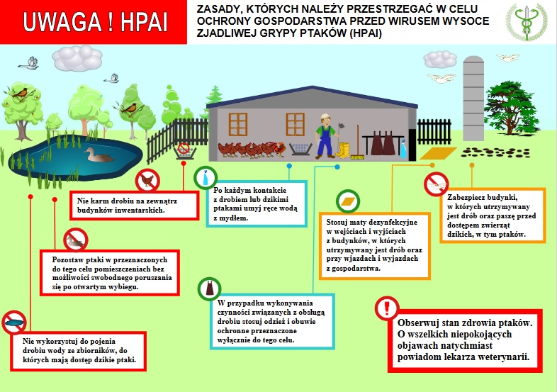 Powiększ plakat. Zasady, które trzeba przestrzegać HPAI. Pełna treść w informacji