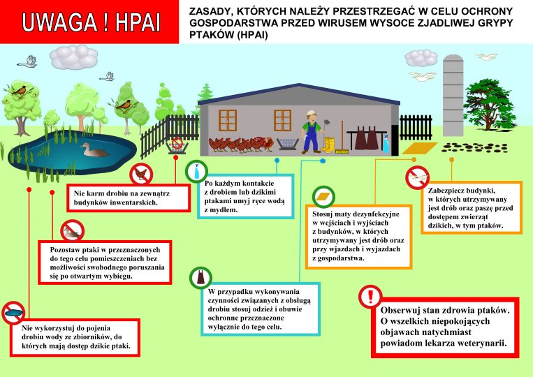 Powiększ infografikę o HPAI