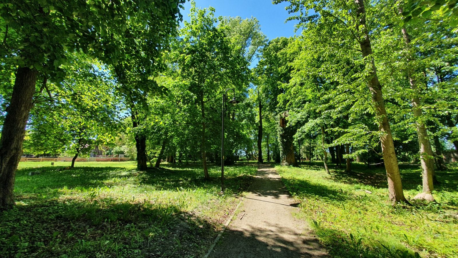 Lampa w parku, drzewa, alejka