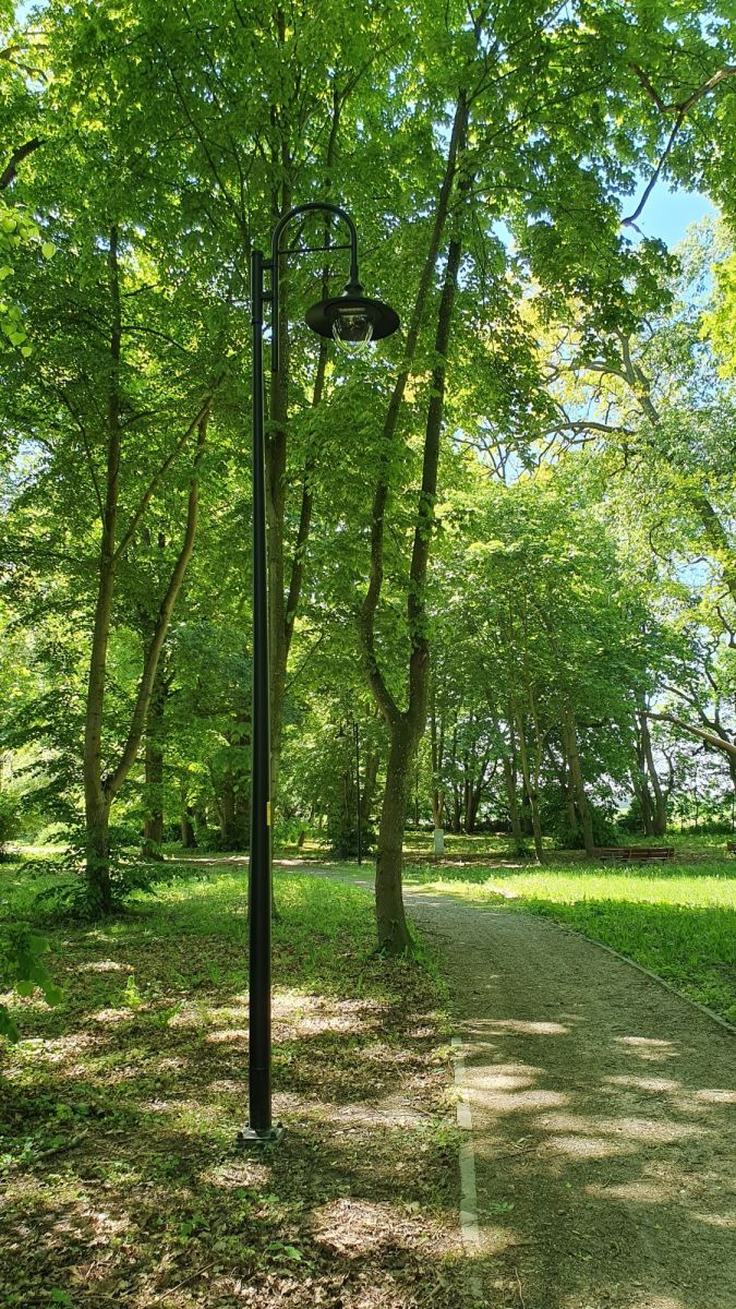 Powiększ zdjęcie. Lampa w parku, drzewa, alejka