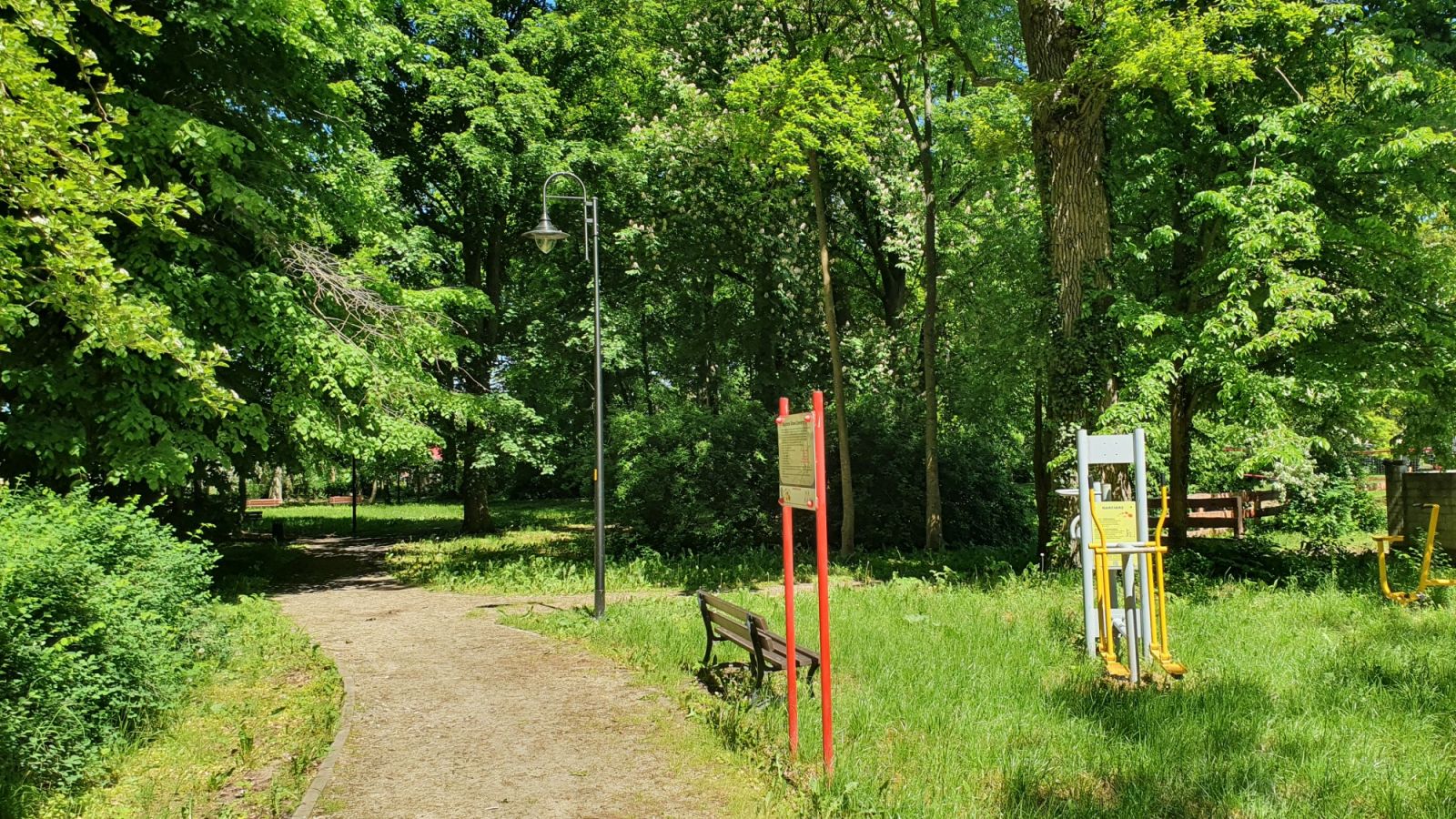 Drzewa, lampa, ławeczka, alejka, urządzenie siłowni