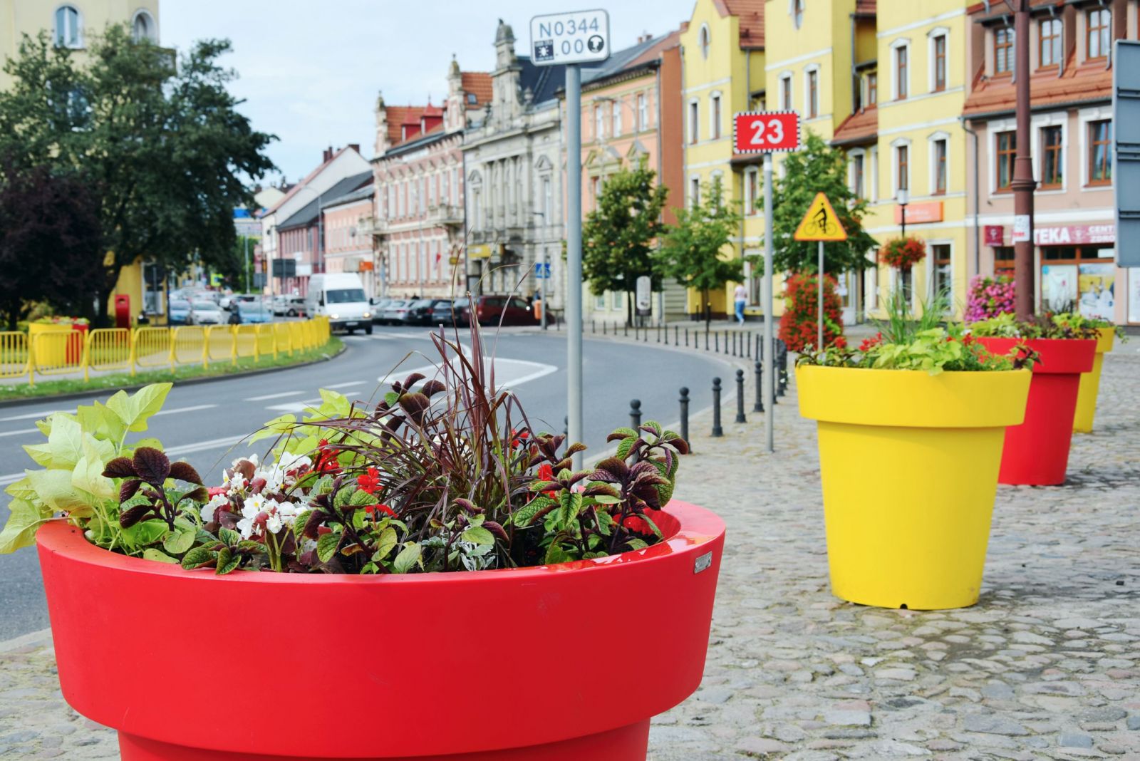 Cztery donice na placu Konstytucji z nasadzeniami, w tle zabytkowe kamienice, niebo, drzewka