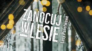 Powiększ baner zanocuj w lesie