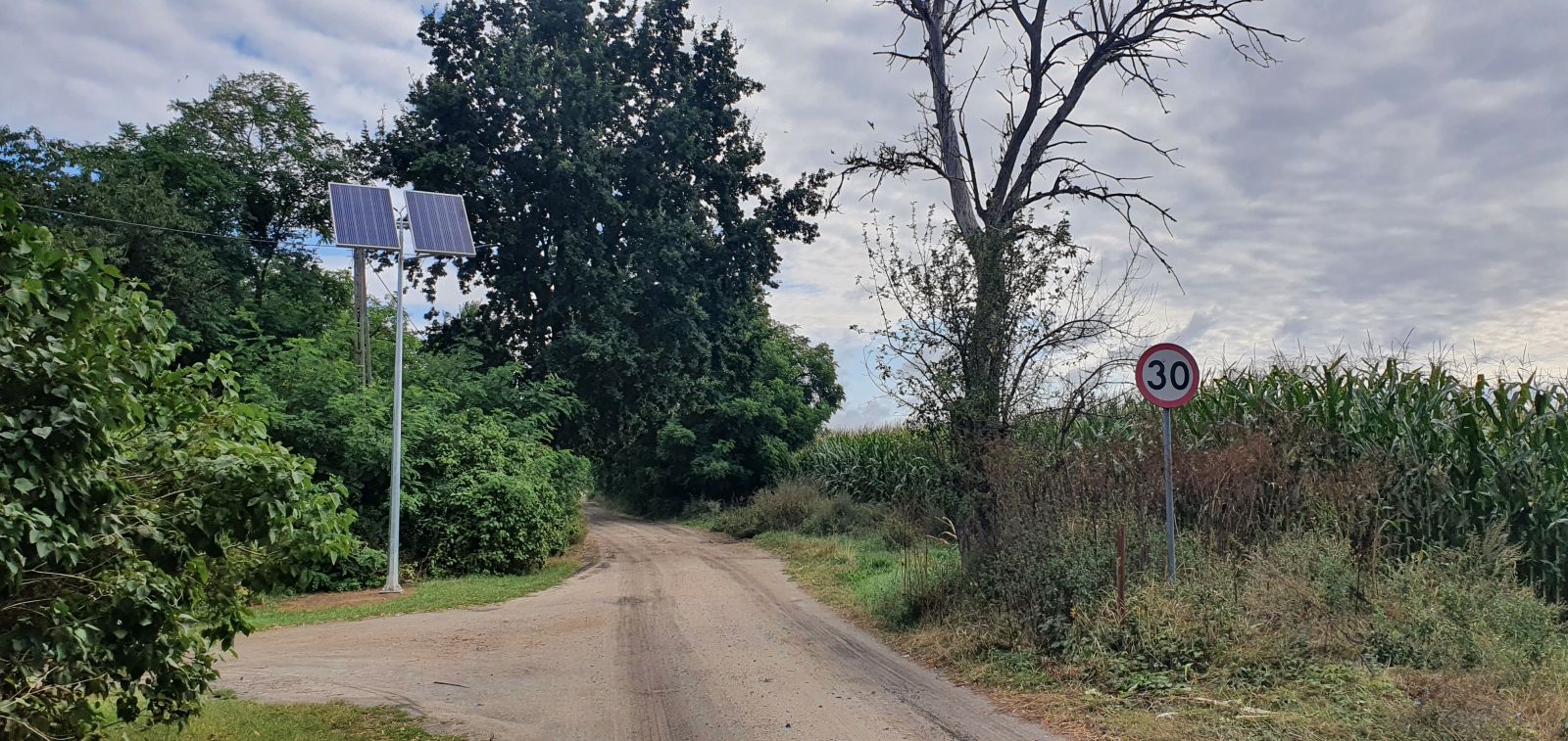 Lampa solarna, drzewa, droga gruntowa, 