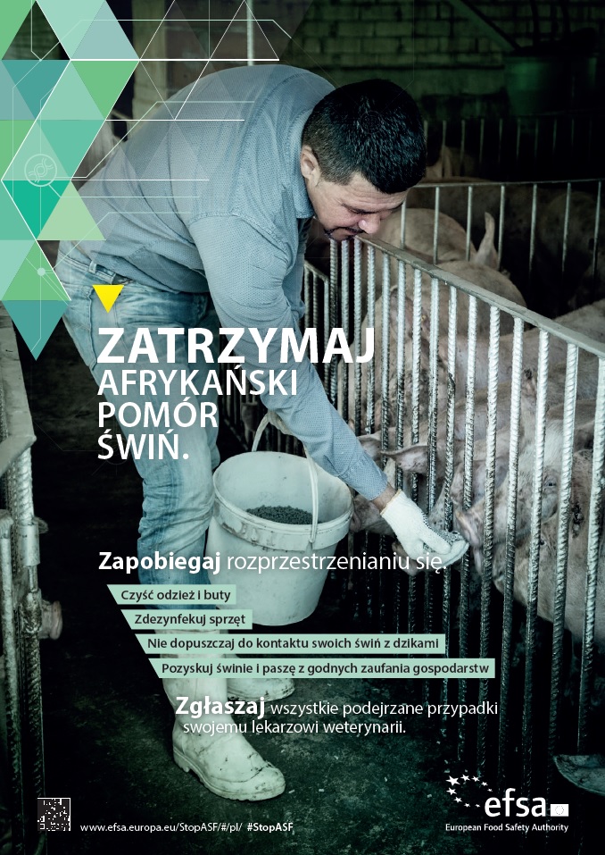 Powiększ plakat promujący kampanię Zatrzymaj Afrykański Pomór Świń 