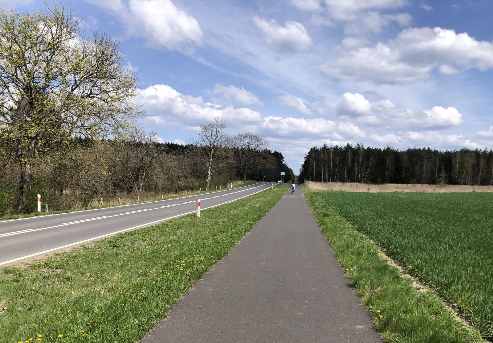Powiększ zdjęcie. Ściezka rowerowa, w tle rowerzysta, niebieskie niebo