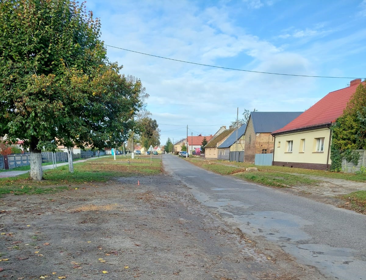 Droga w Różańsku, po obu stronach zabudowania, drzewa
