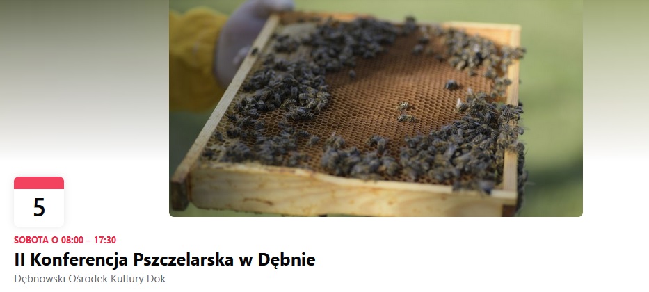 Powiększ zdjęcie. Data i nazwa imprezy, wyżej zdjęcie ramki z plastrem miodu