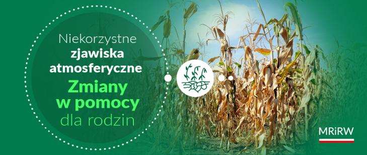 Powiększ zieloną grafikę. zboże 