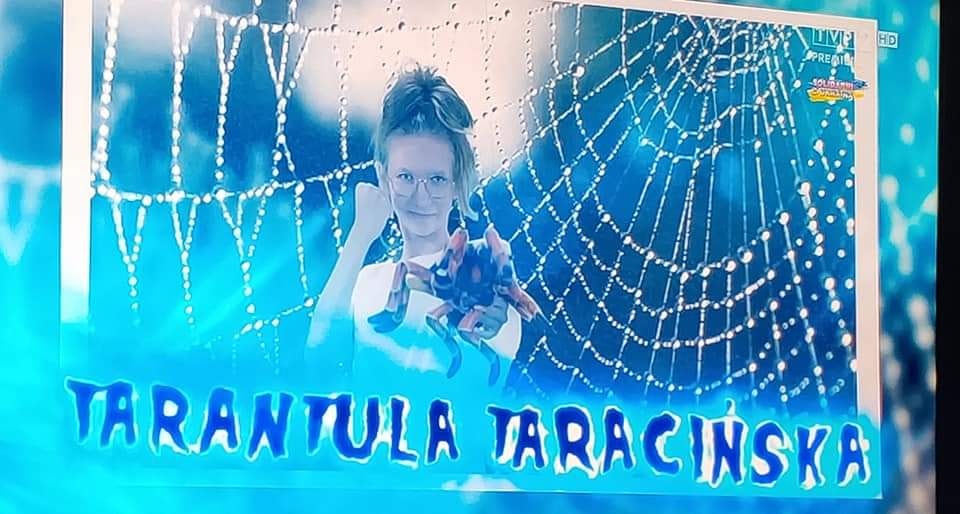 Powiększ zdjecie. Wiktoria w pajęczynie napis Tarantula Taracińska
