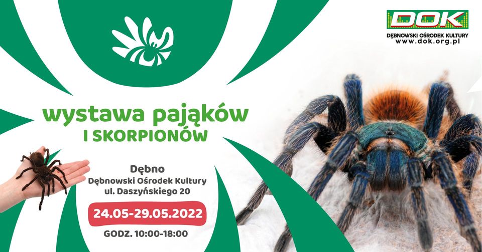 Powiększ zdjęcie. plakat wystaw pajaków. pełna treść w informacji