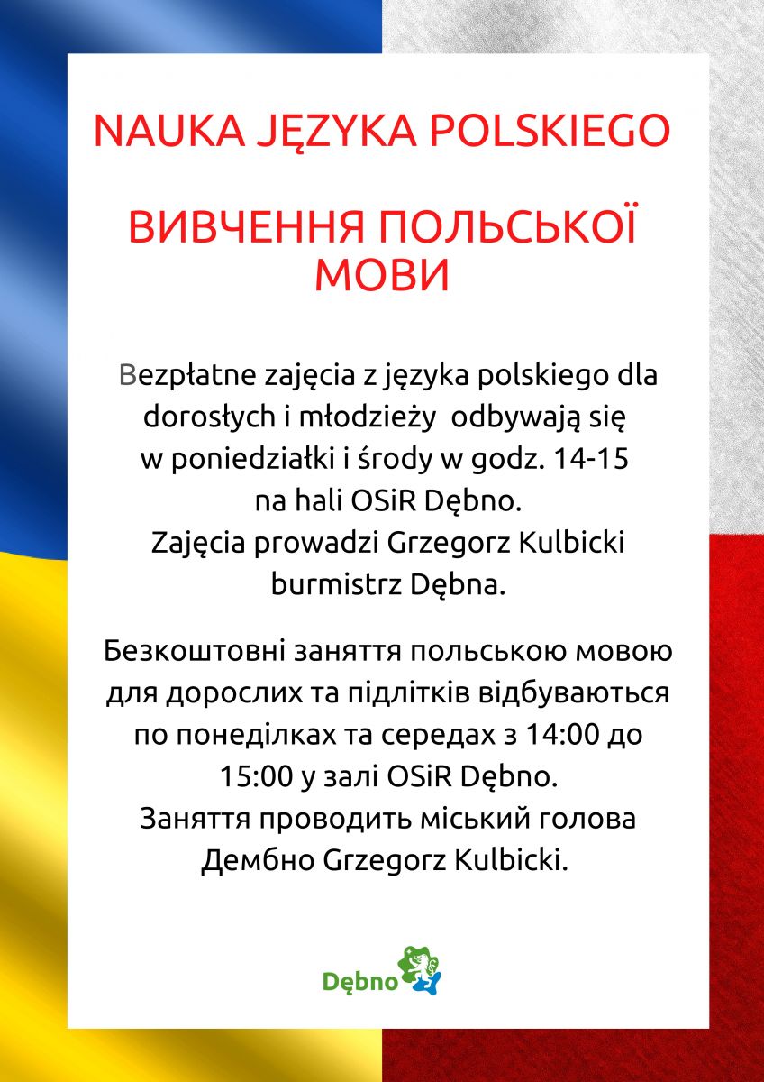 Plakat nauka języka polskiego