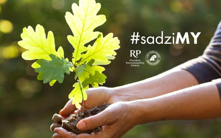 Powiększ grafikę. W dłoniach trzymane jest mała sadzonka dębu