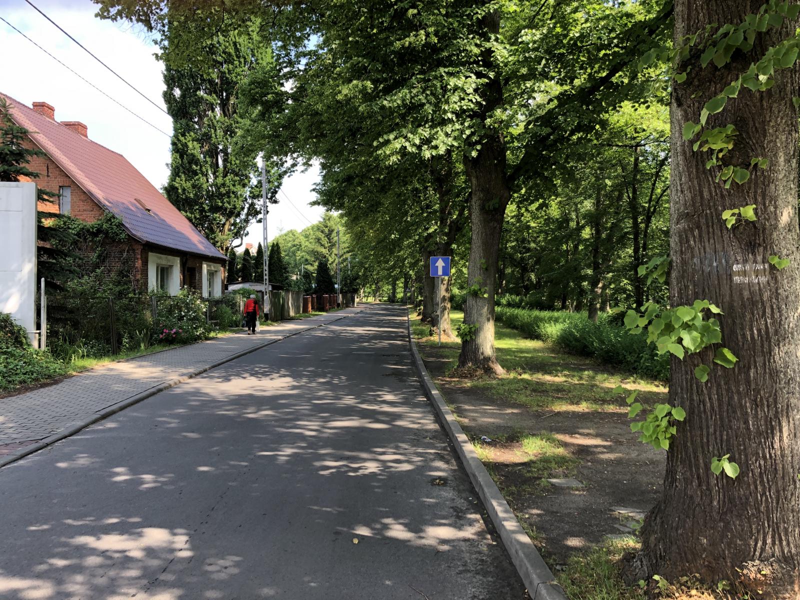 Powiększ zdjęcie. Widok na ulicę Parkową od wyjazdu z Biedronki