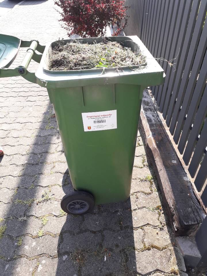 W pojemnikach z odpadami zmieszanymi nie powinny być bioodpady