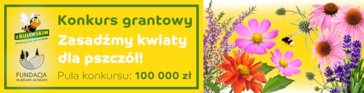 Powiększ baner promujący konkurs