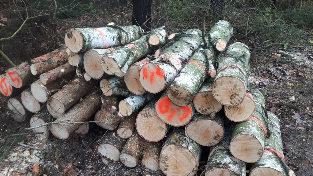 Powiększ zdjęcie. Przykładowe drewno opałowe
