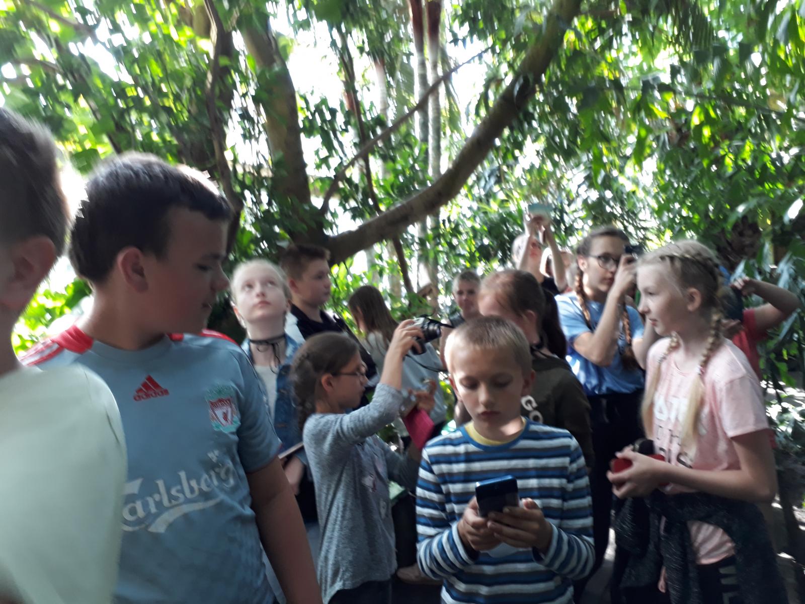 Powiększ zdjecie. uczniwoie w ogrodzie botanicznym
