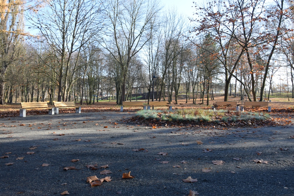 Nasadzenie na klombach to trawy: kostrzewa i rozplenica japońska 