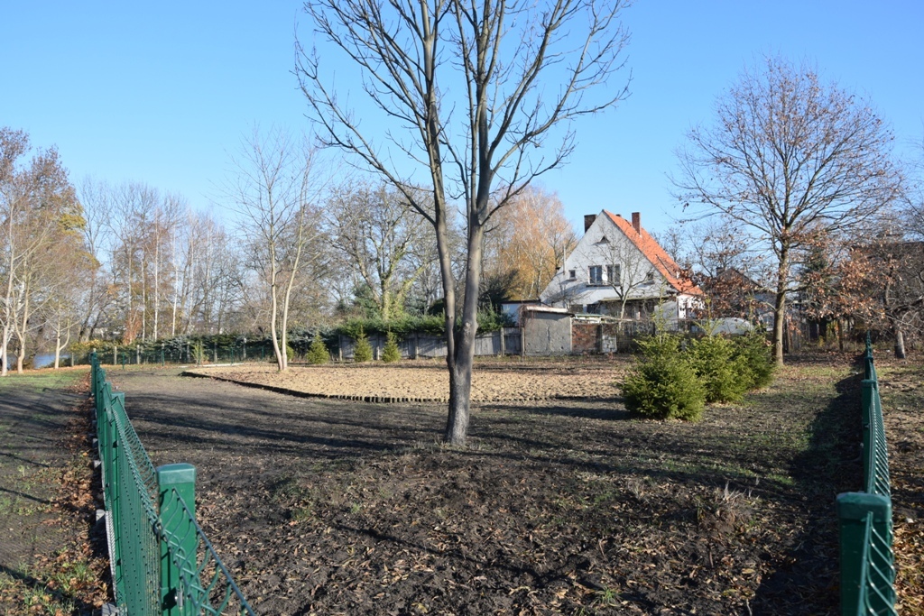 Wybieg dla psów