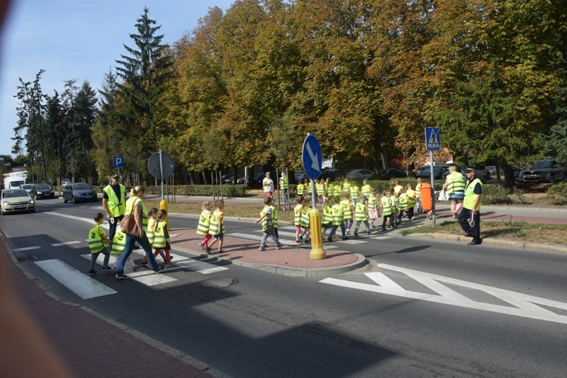 Przedszkolaki przechodzą przez pasy
