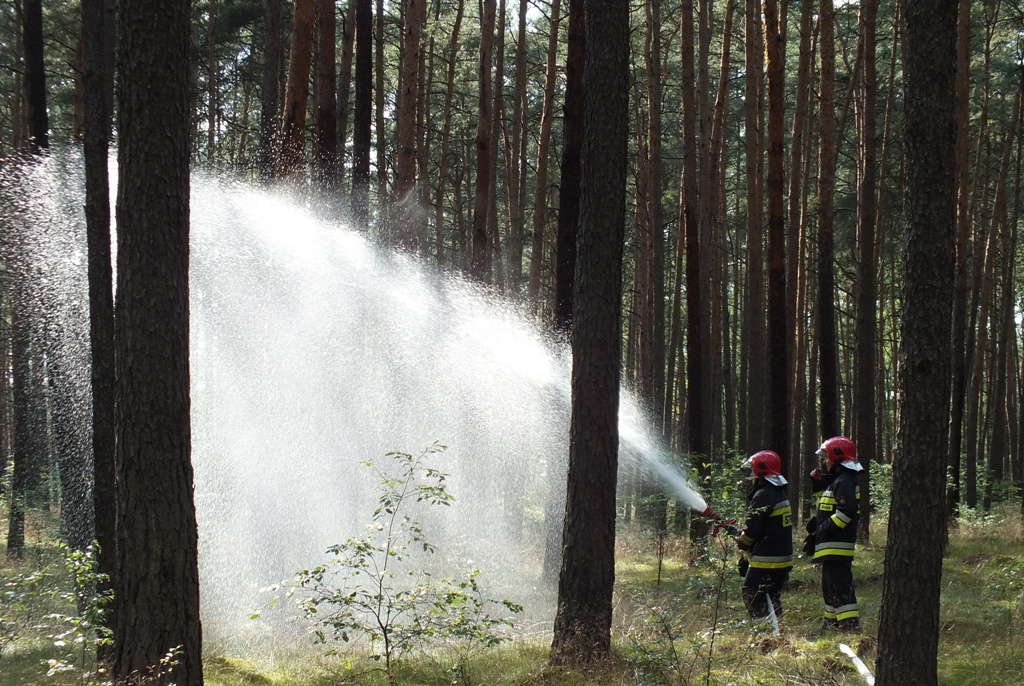 Gaszenie pożaru w lesie