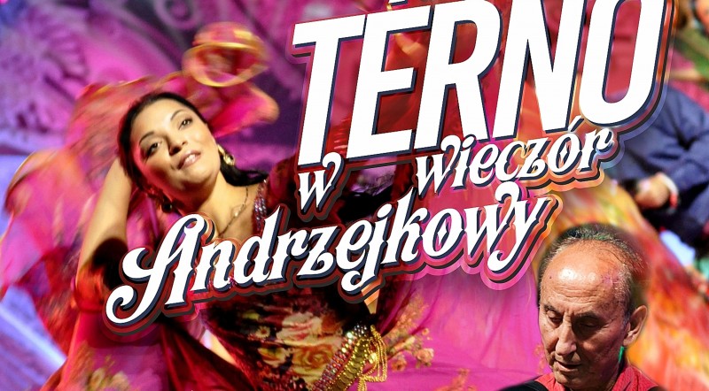 Baner Terno  