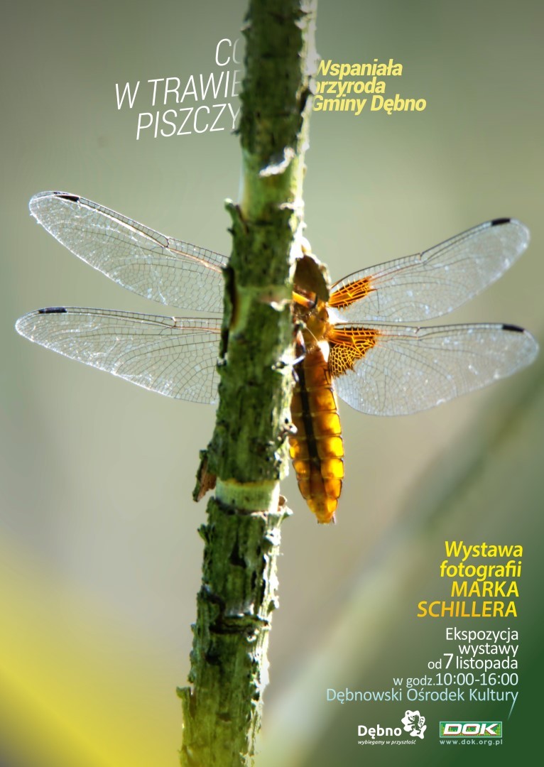 Afisz imprezy. Pełna treść w informacji powyżej