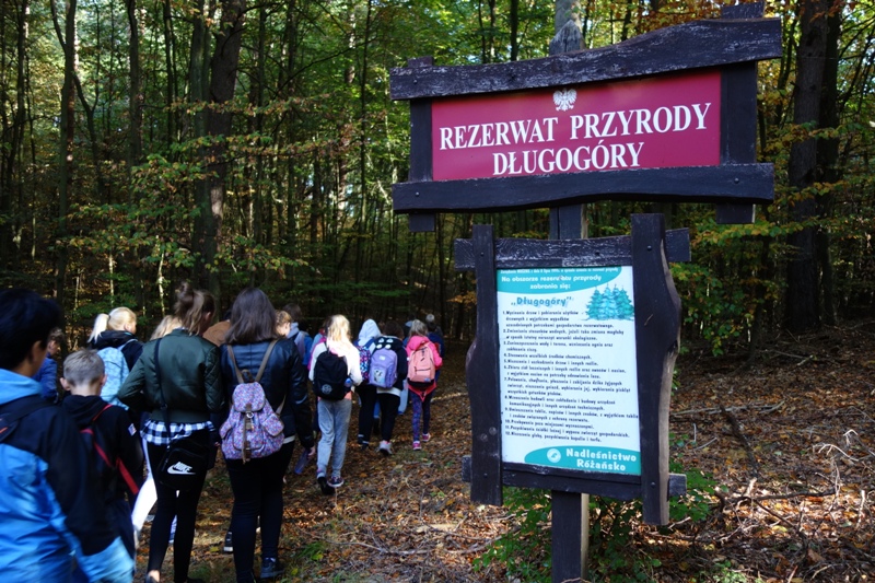Rezerwat Długogóry (link prowadzi do powiększonej wersji zdjęcia)
