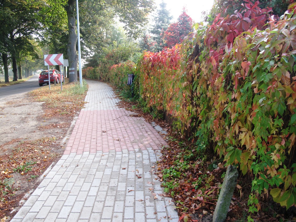 Chodnik w Cychrach (link prowadzi do powiększonej wersji zdjęcia)