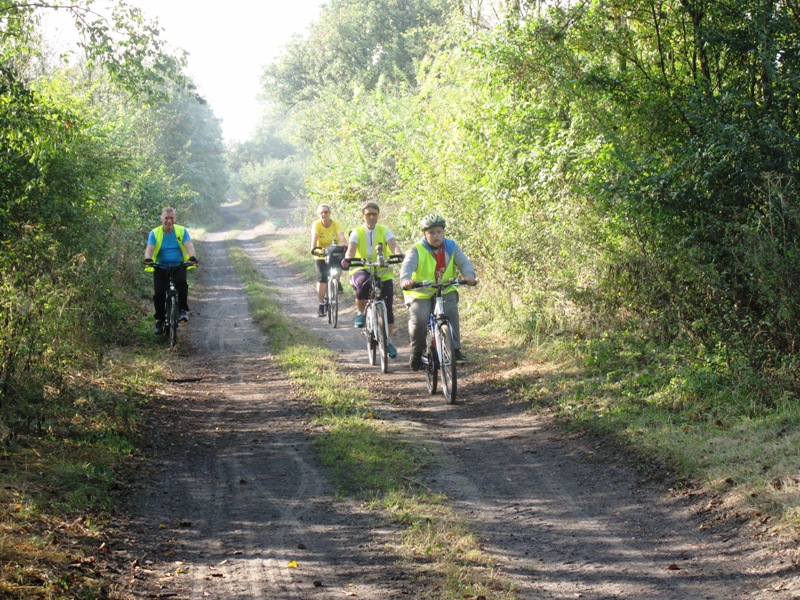 Rowerzysci na trasie (libnk prowadzi do powiększonej wersji zdjęcia)