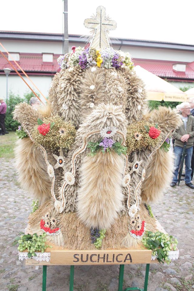Wieniec Suchlicy