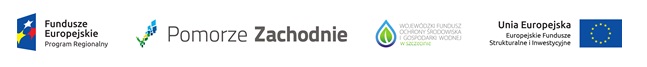 Logo promocyjne projektu