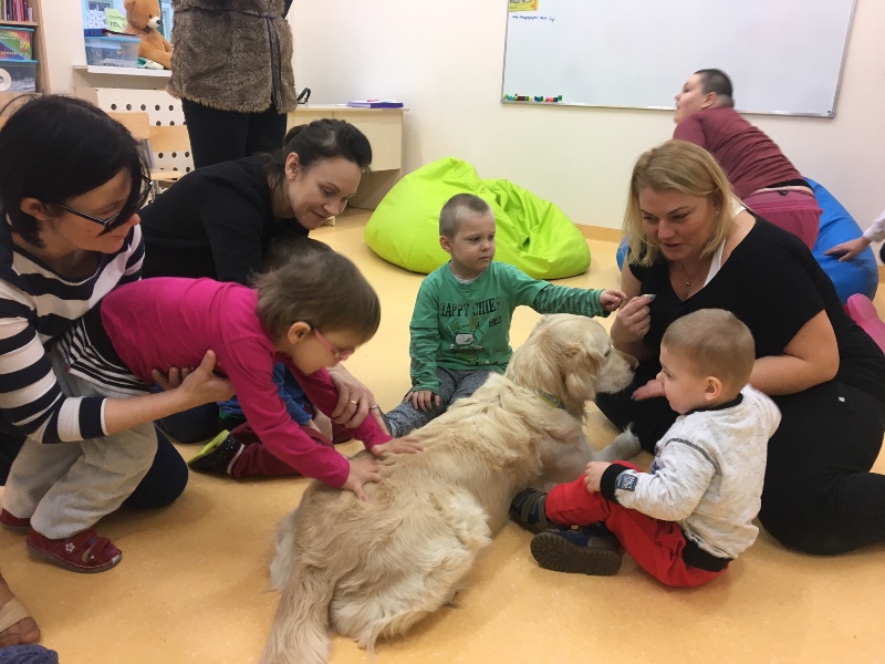 Dzieci podczas dogoterapii
