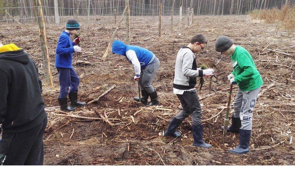 Powiększ zdjęcie. Dzieci na wykarczowanym polu sadzą drzewka
