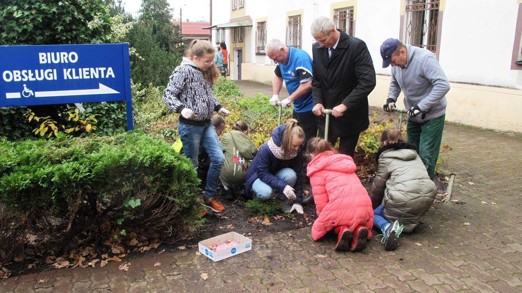 W sadzeniu cebulek wziął udział burmistrz Dębna