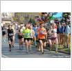 Galeria zdjęć: 44. Maraton Dębno - 2.04.2017 r. - fot. Ela i Marek Pereć. Link otwiera powiększoną wersję zdjęcia.