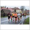 Galeria zdjęć: 47. Maraton Dębno (fot. Ela i Marek Pereć). Link otwiera powiększoną wersję zdjęcia.