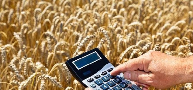 Powiększ  zdjęcie. Zboża na tle kalkulator