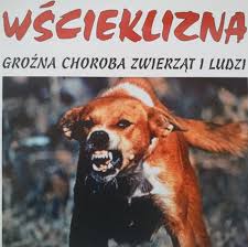 Grafika pokazująca wściekłego psa  