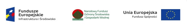 Powiększ logo promocyjne projektu