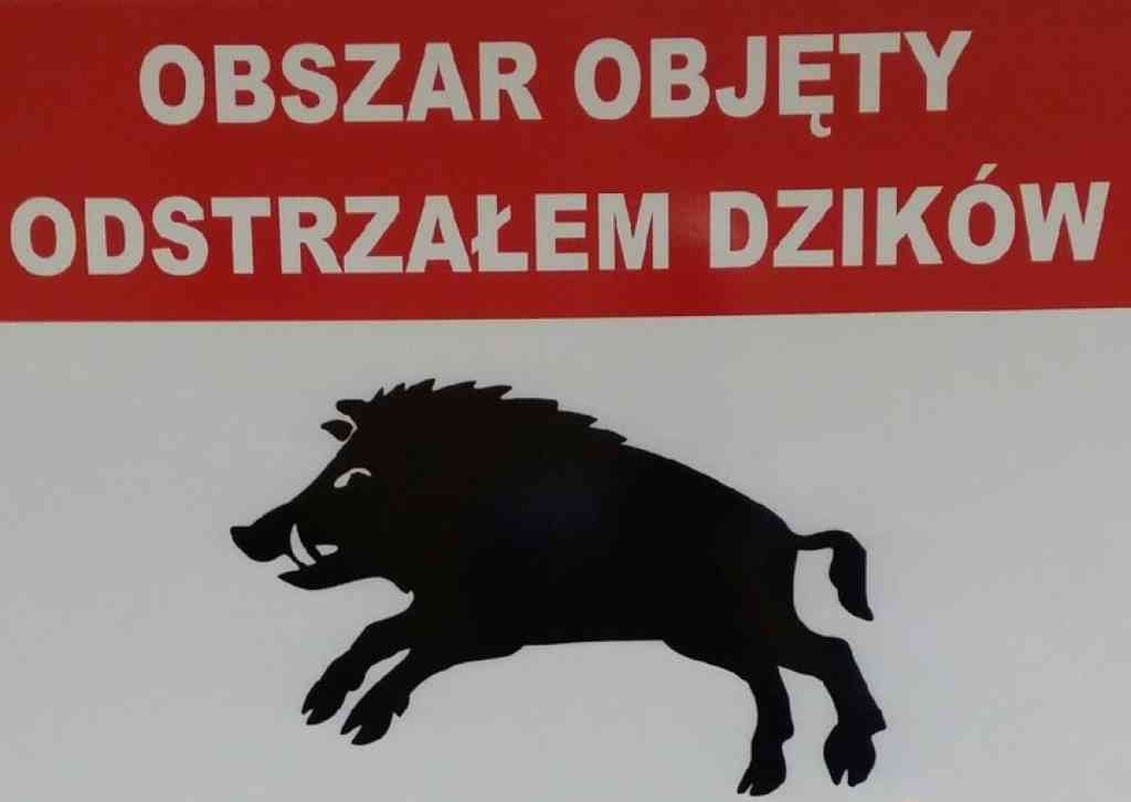 Powiększ grafikę. obszar objęty odstrzełem dzików, rysunek dzika